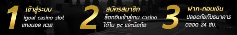 e699 ขั้นตอนเข้าเล่น