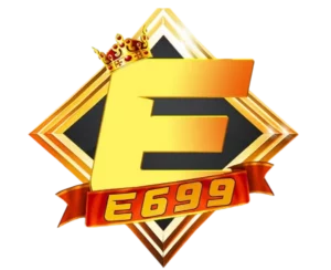 e699 logo